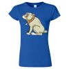 Softstyle® Women’s T-Shirt Thumbnail